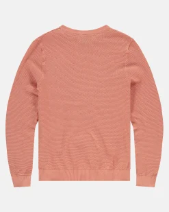 Gaastra 100% Katoenen Boyd Trui|Heren Truien En Sweaters