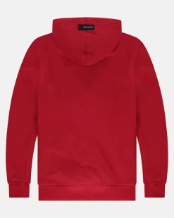 Gaastra Arctic Hoodie Gemaakt Van Biologisch Katoen|Heren Truien En Sweaters