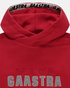 Gaastra Arctic Hoodie Gemaakt Van Biologisch Katoen|Heren Truien En Sweaters