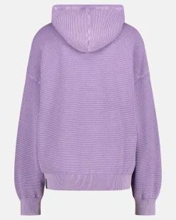 Gaastra Katoenen Sweater Keira Met Capuchon|Dames Truien En Sweaters
