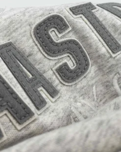 Gaastra Klassieke Arctic Fairtrade Hoody|Heren Truien En Sweaters