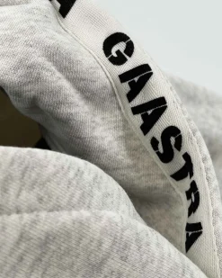 Gaastra Klassieke Arctic Fairtrade Hoody|Heren Truien En Sweaters