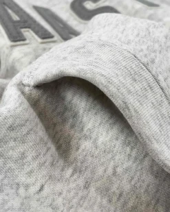 Gaastra Klassieke Arctic Fairtrade Hoody|Heren Truien En Sweaters