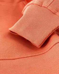 Gaastra Klassieke Arcticfairtradehoody|Heren Truien En Sweaters